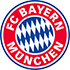 Bayern Munich Flag