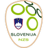 Slovenia Flag