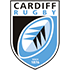 Cardiff Rugby Flag