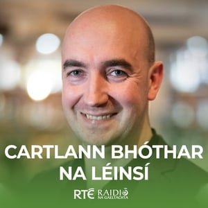 Cartlann Bhóthar na Léinsí