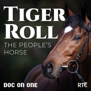 Tiger Roll: The People's Horse