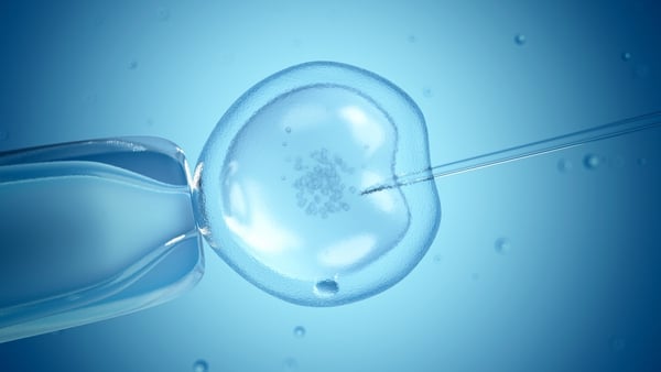 'How joined up is our strategy when it comes to rolling out State funded fertility treatments? Could we be a little more strategic in our thinking when it comes to this?' Photo: Getty Images